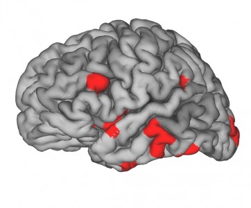 110214-coslog-brain-on-love-145p.photoblog600