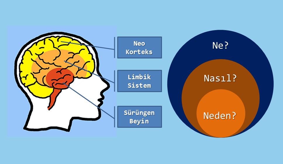 Tersten Düşünmek01