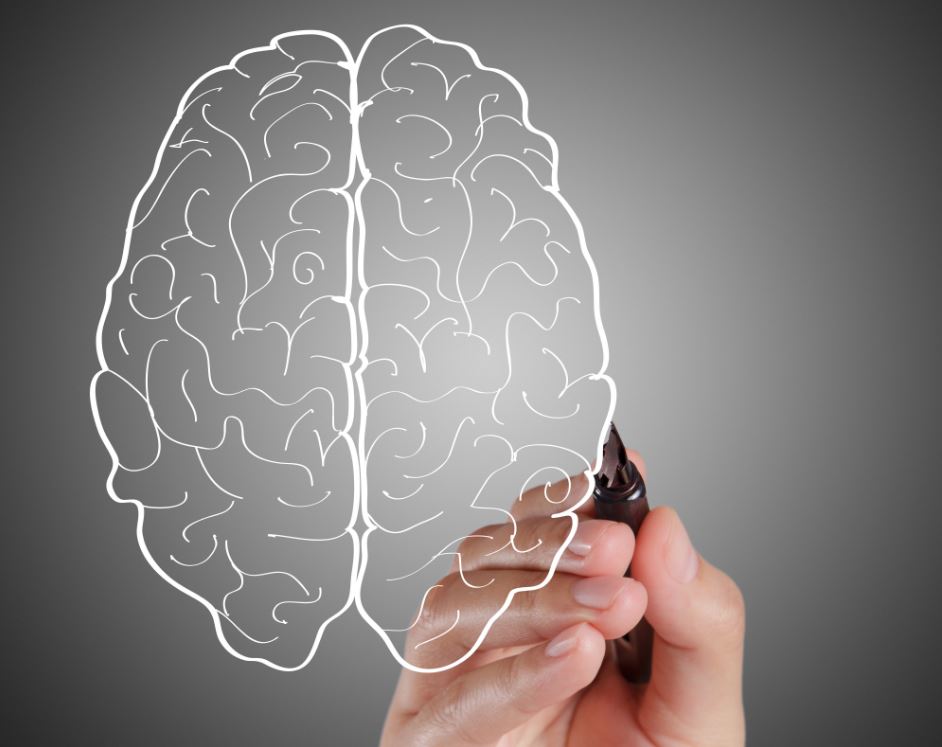 Neuroplastcity ve Değişim